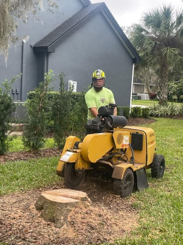 T.E.A.M. operator running stump grinder on residential property in Tampa Bay
