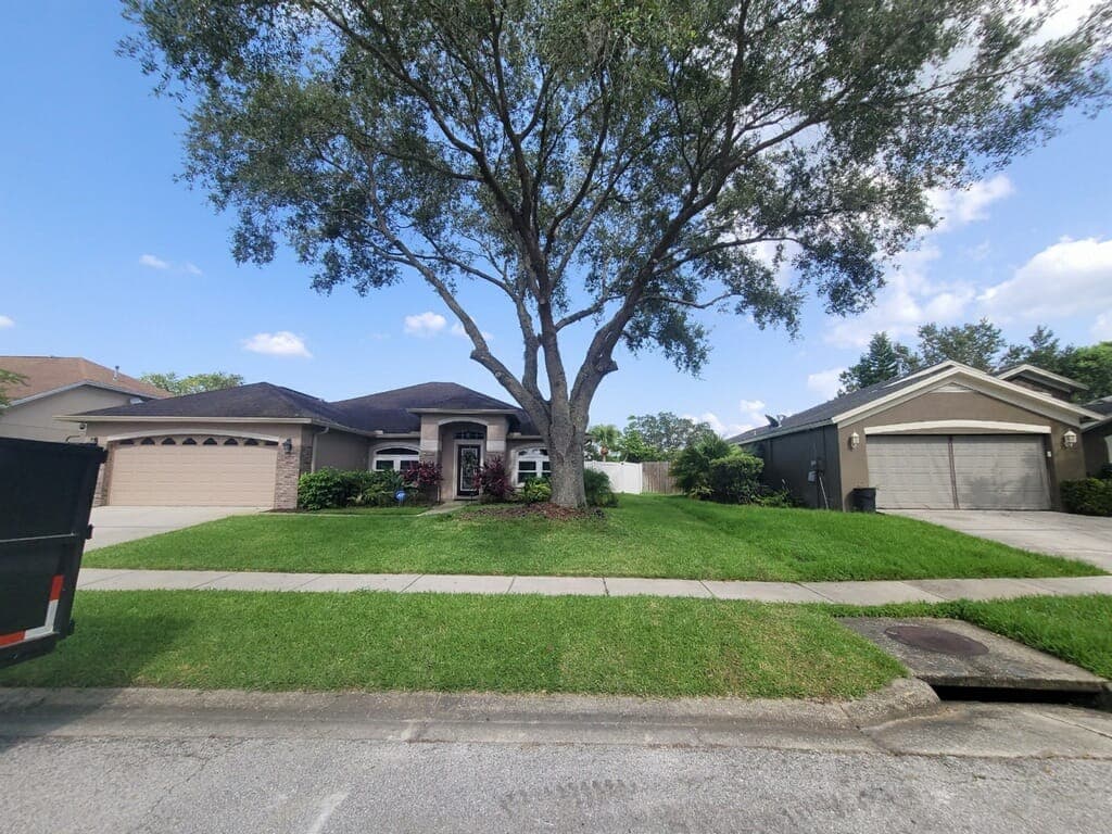 Tree pruning completed - professional results Tampa Bay
