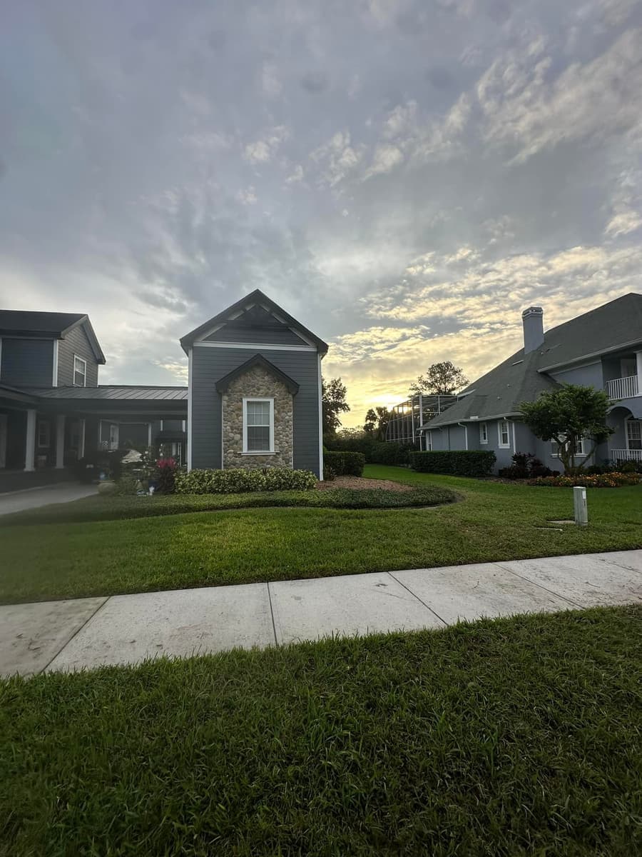 Tree removal completed - clean results in Tampa Bay