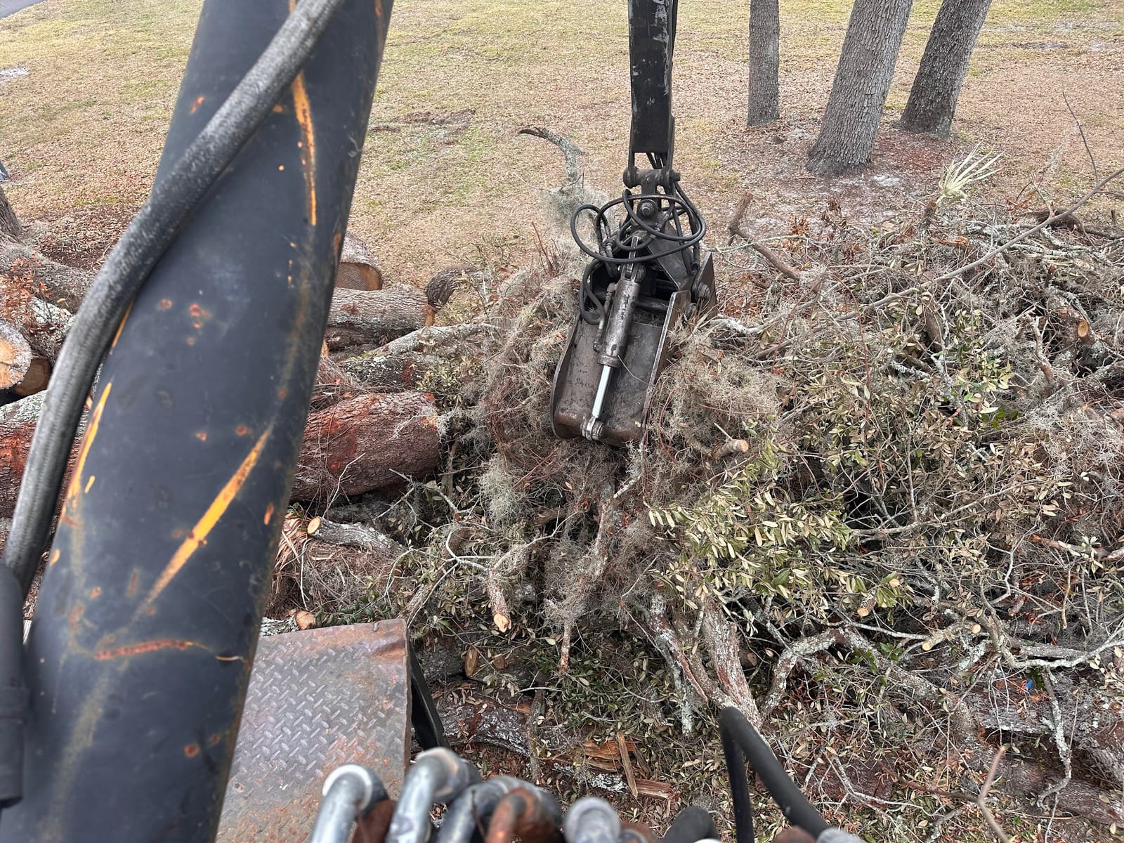Grapple loader picking up oak limbs during a Tampa Bay debris cleanup