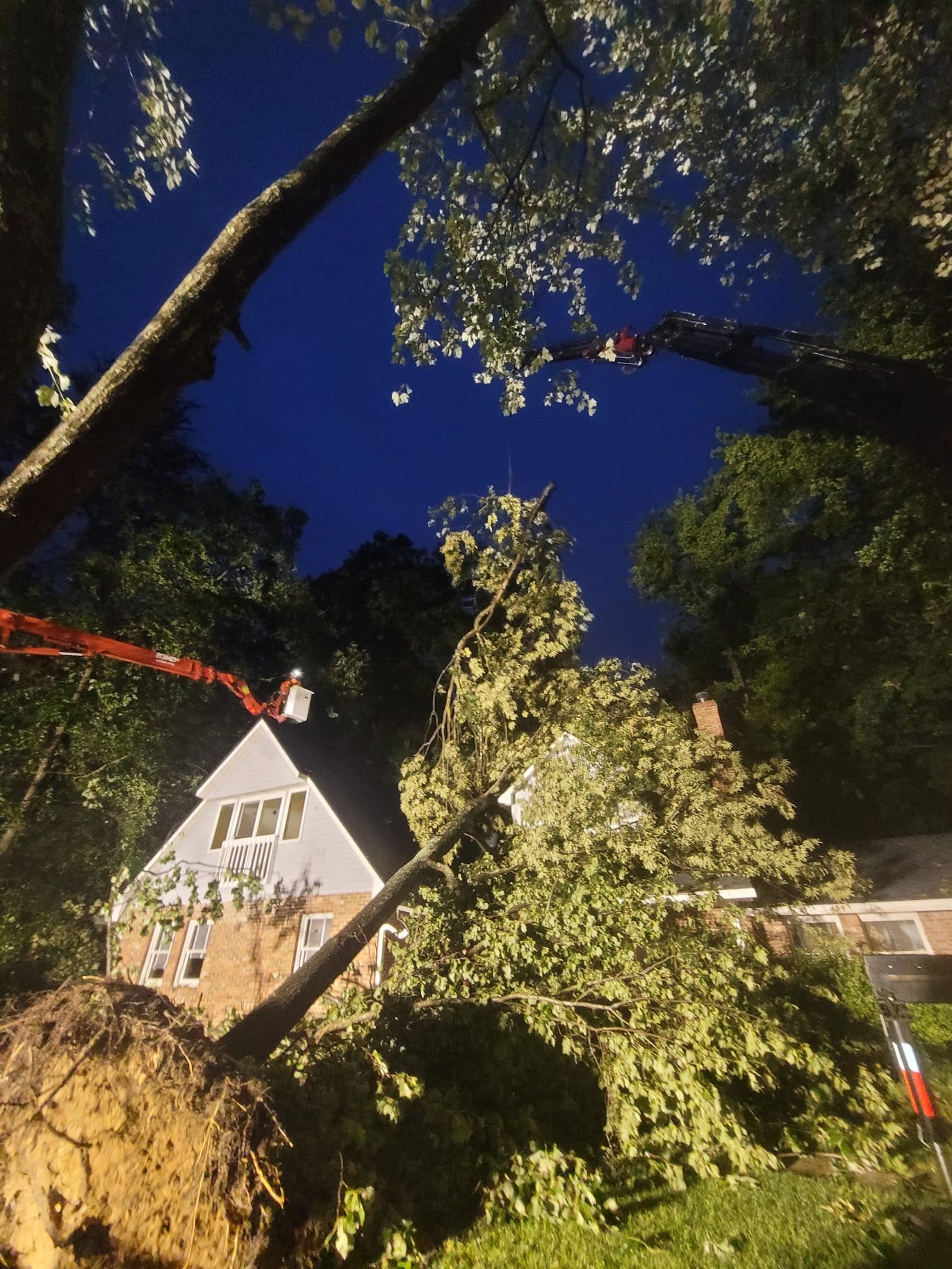 T.E.A.M. crew removing an uprooted tree from a Tampa Bay home at dusk
