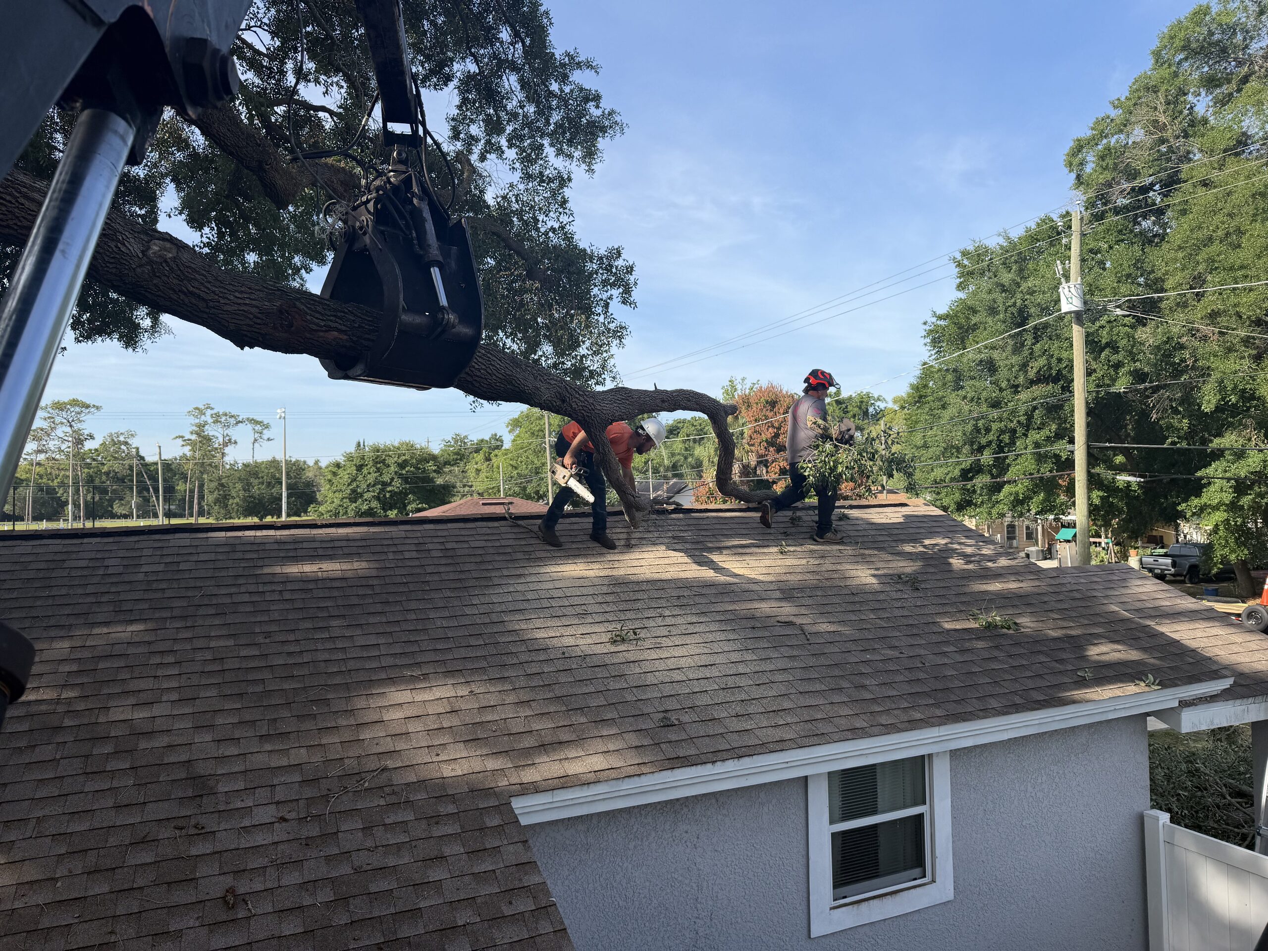 T.E.A.M. crew cutting a large limb above a Tampa roof while a crane holds the section