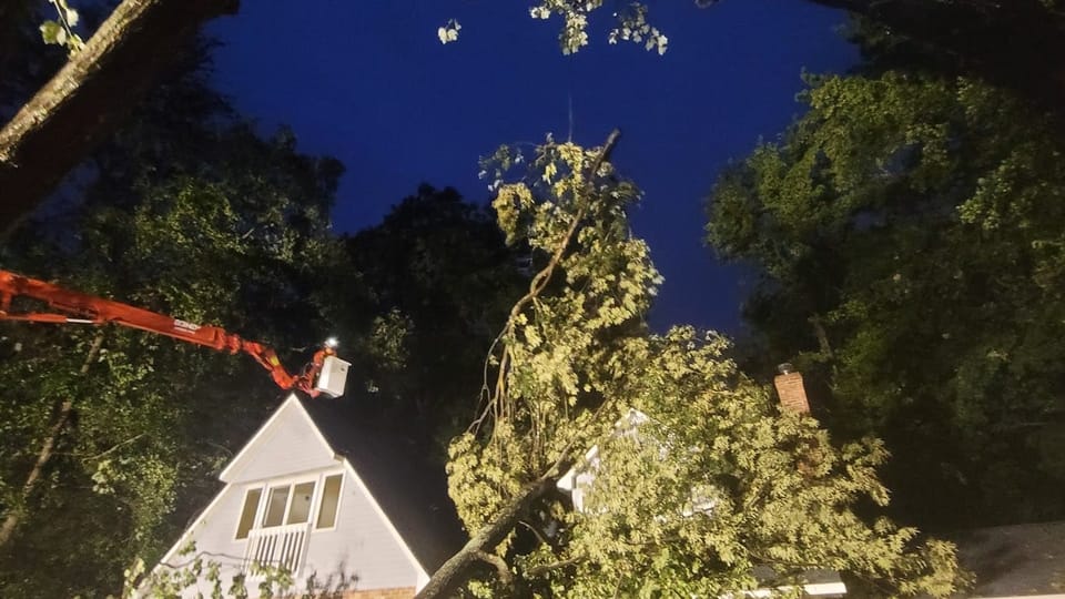 T.E.A.M. crew removing an uprooted tree from a Tampa Bay home at dusk