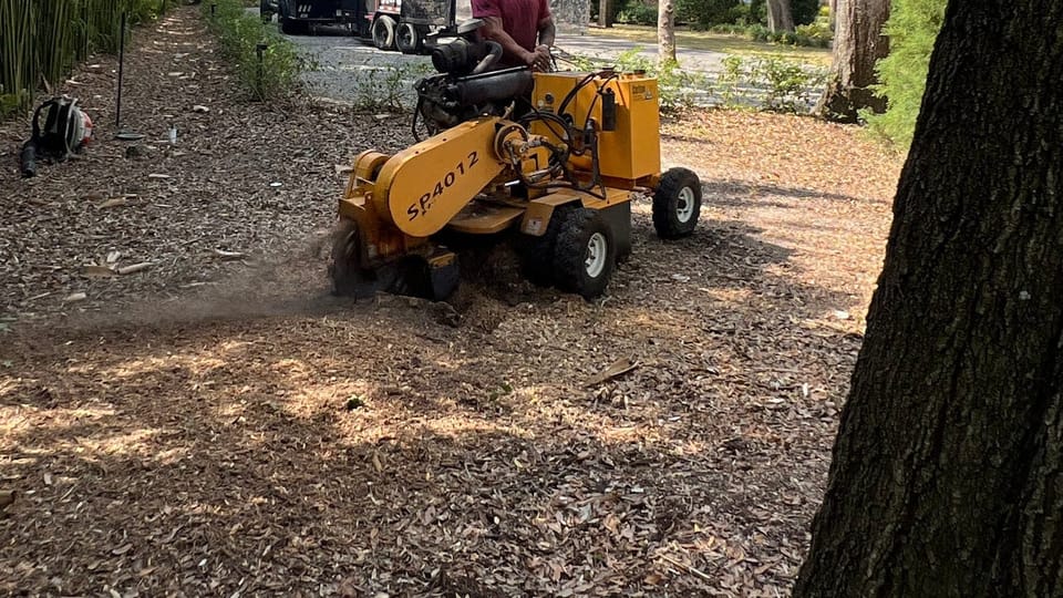 Crew member operating a stump grinder at a residential property