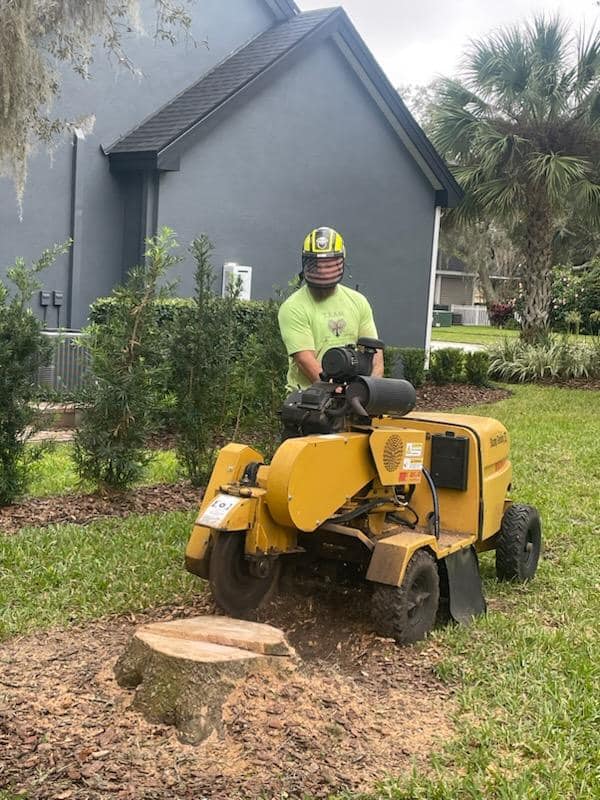 T.E.A.M. Tree Service stump grinding equipment