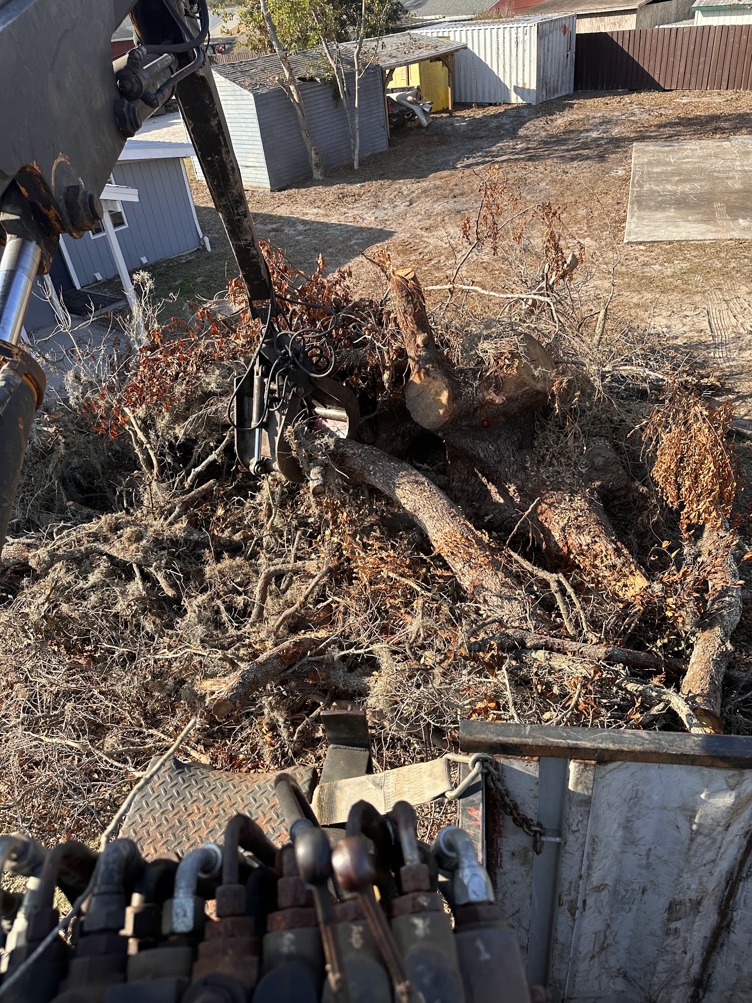 Container loaded with tree debris during hauling job in Tampa