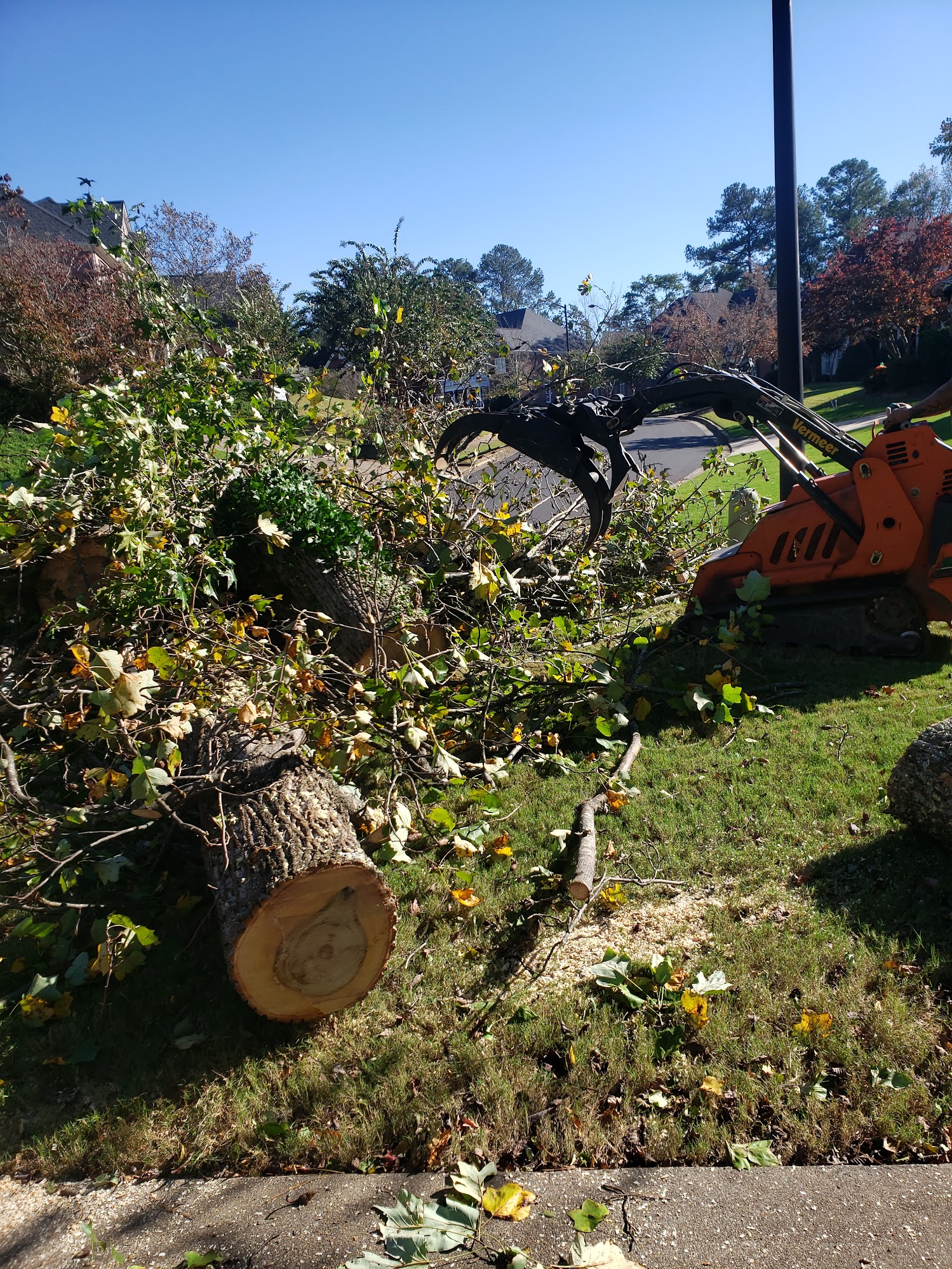 T.E.A.M. crew loading tree debris with grapple truck in Tampa Bay