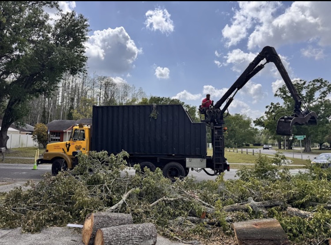 Grapple truck loading large tree debris after removal in Tampa Bay